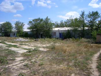CIMG1324