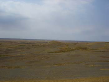 CIMG1484